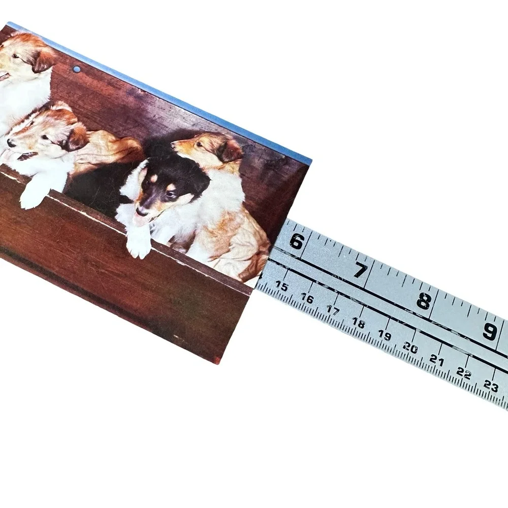 Vintage Mike Roberts Collie Pups Postcard Herbert Lanks Kodachrome Unused 60s